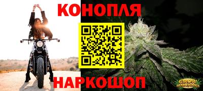 прущие грибы Малоярославец